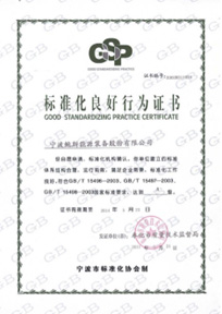 Good Standardizing Practice